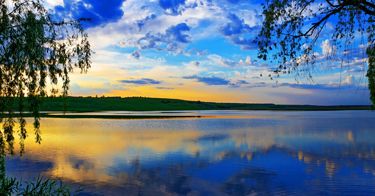 Contact WhiteWater Landing Lake Land for Sale in Chapin, SC